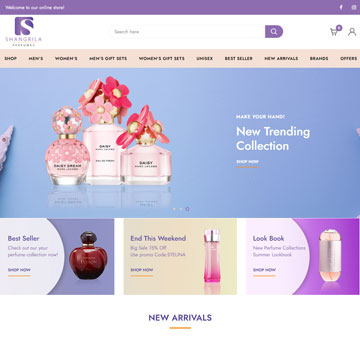 eCommerce website developers in Delhi